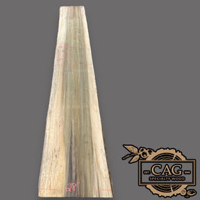 poplar-slab-29