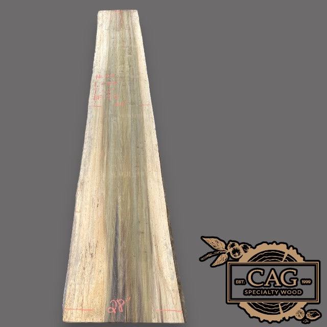 poplar-slab-29