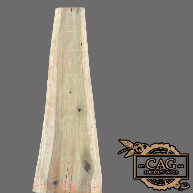 poplar-slab-31