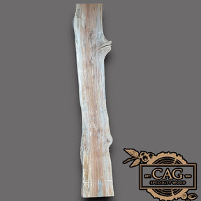 Sycamore Slabs