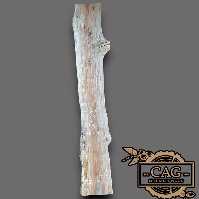 Sycamore Slabs