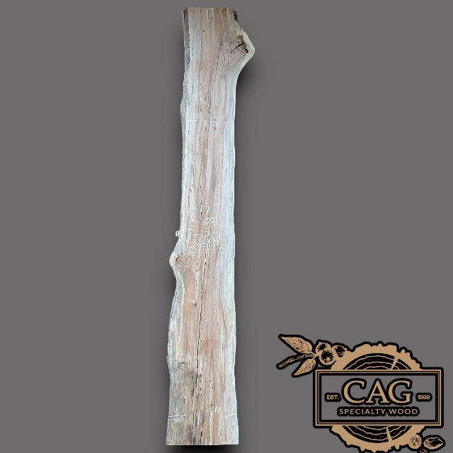 Sycamore Slabs
