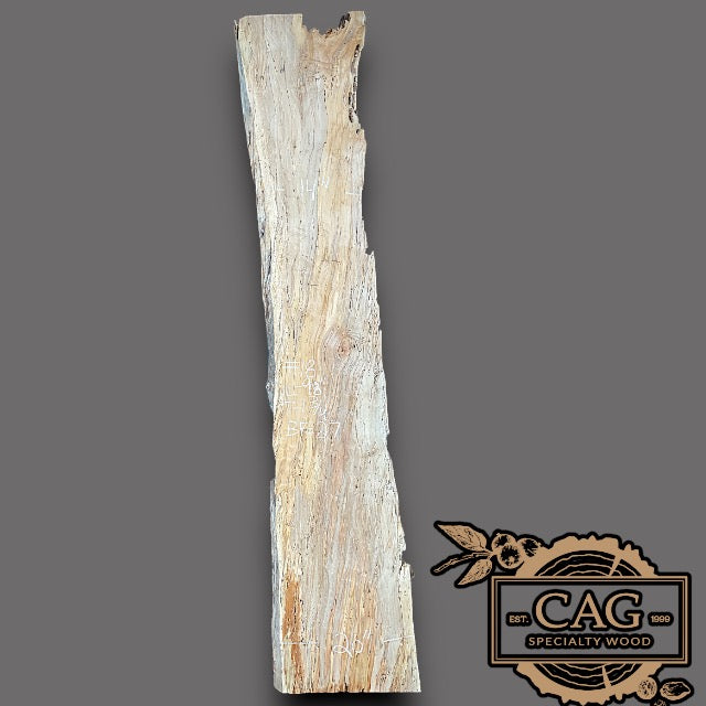 Sycamore Slabs