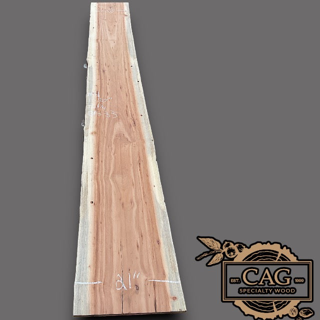 Tiger Caspi Wood Slabs