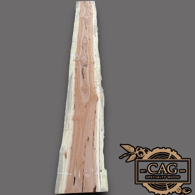 Tiger Caspi Wood Slabs