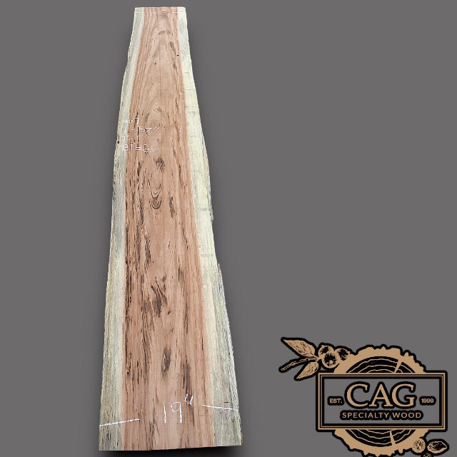 Tiger Caspi Wood Slabs