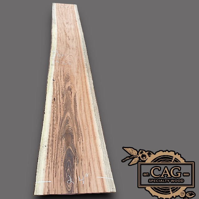 Tiger Caspi Wood Slabs