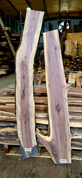 Black Walnut Mini Slabs