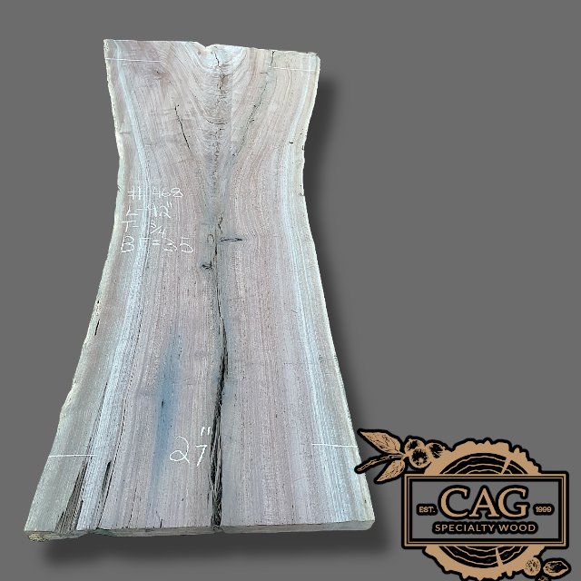 Walnut Slabs 400-499