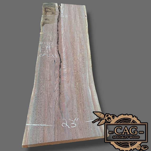 Walnut Slabs 400-499