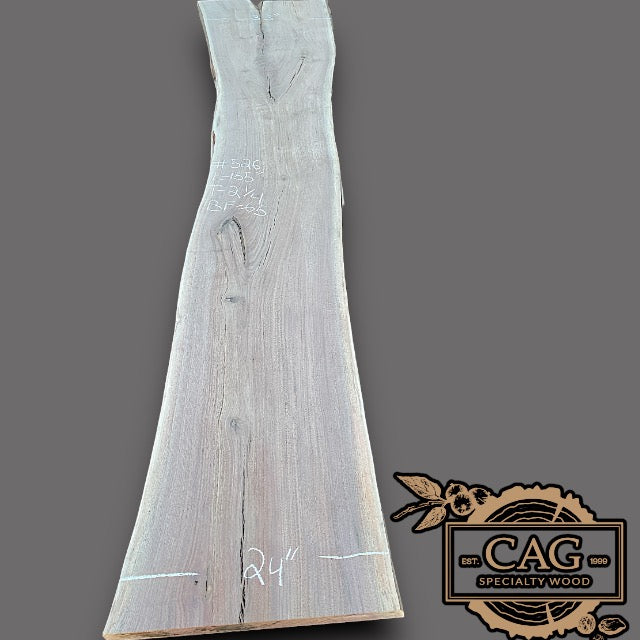Walnut Slabs 500-599