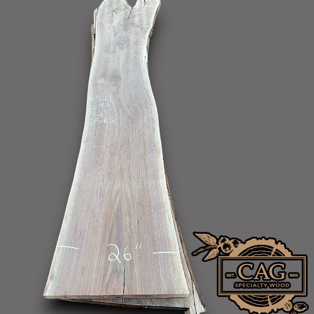 Walnut Slabs 500-599