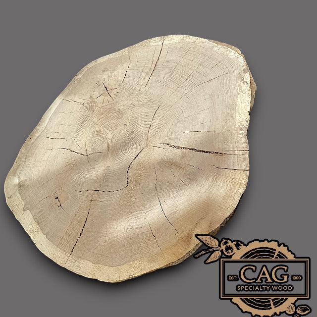 White Oak & Red Oak Crosscut Cookies