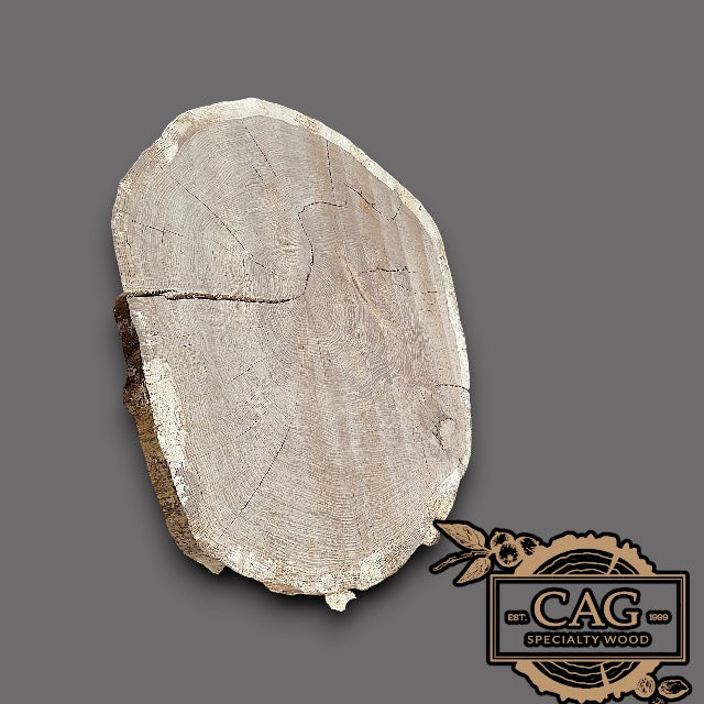 White Oak & Red Oak Crosscut Cookies