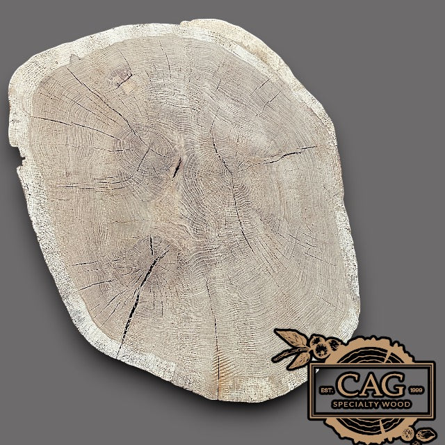 White Oak & Red Oak Crosscut Cookies