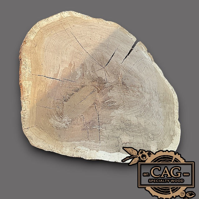 White Oak & Red Oak Crosscut Cookies