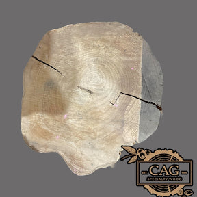 White Oak & Red Oak Crosscut Cookies