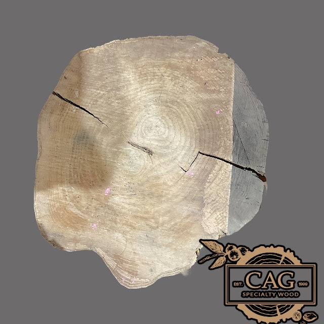 White Oak & Red Oak Crosscut Cookies