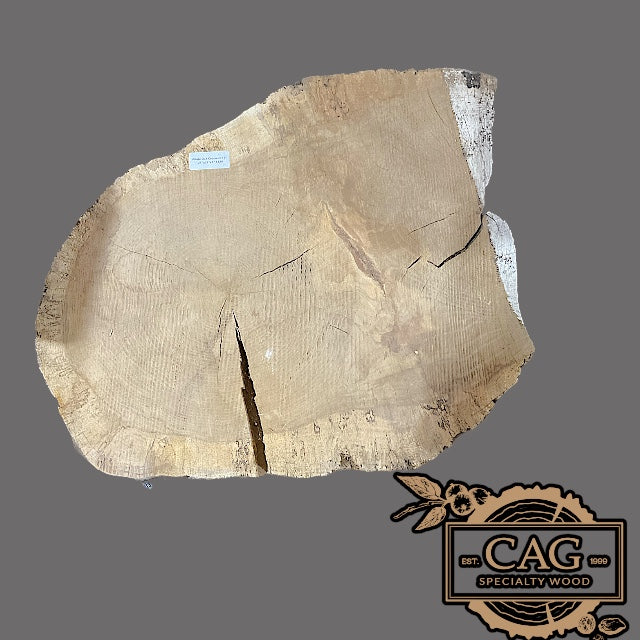 White Oak & Red Oak Crosscut Cookies