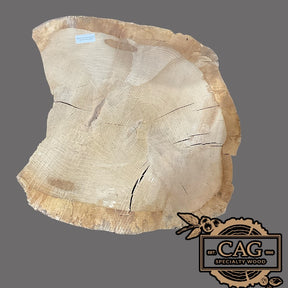 White Oak & Red Oak Crosscut Cookies