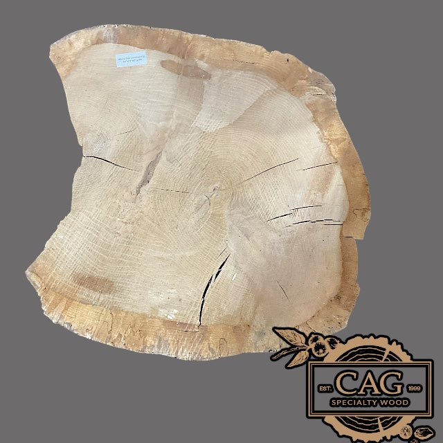 White Oak & Red Oak Crosscut Cookies