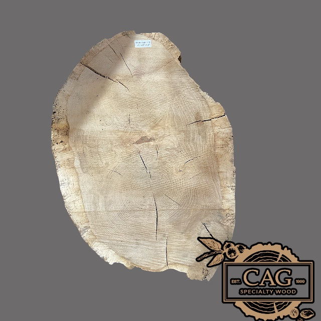 White Oak & Red Oak Crosscut Cookies