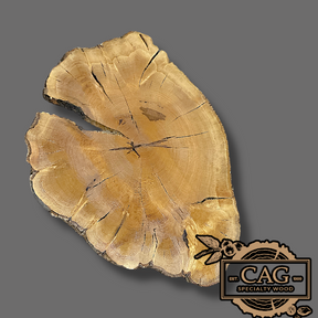 White Oak & Red Oak Crosscut Cookies