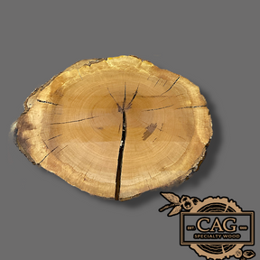 White Oak & Red Oak Crosscut Cookies