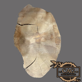 White Oak & Red Oak Crosscut Cookies