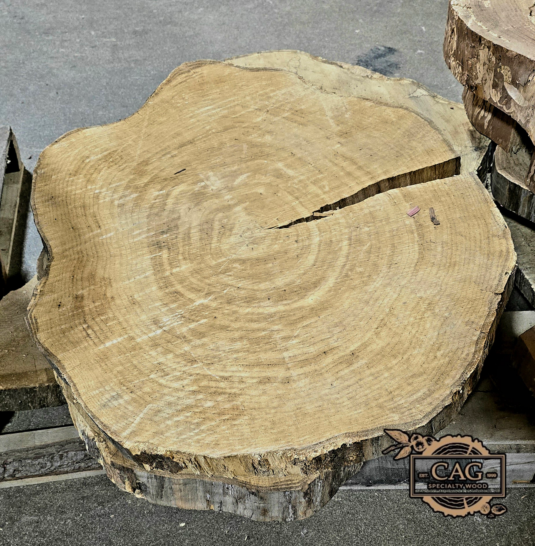 White Oak & Red Oak Crosscut Cookies