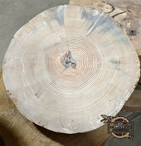 Yellow Pine Crosscut Cookie