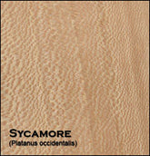 Wormy Sycamore 4/4 and 5/4